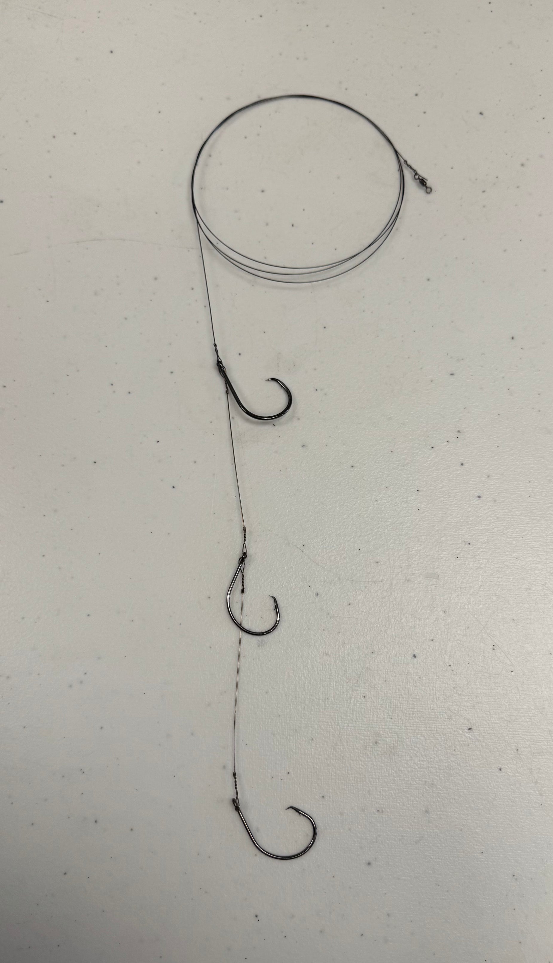 Circle Hook Rigs – howyareelintackle